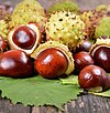 Zero waste in autumn: 5 DIY-ideas for chestnuts