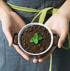 ZERO WASTE KITCHEN: What to do with coffee grounds